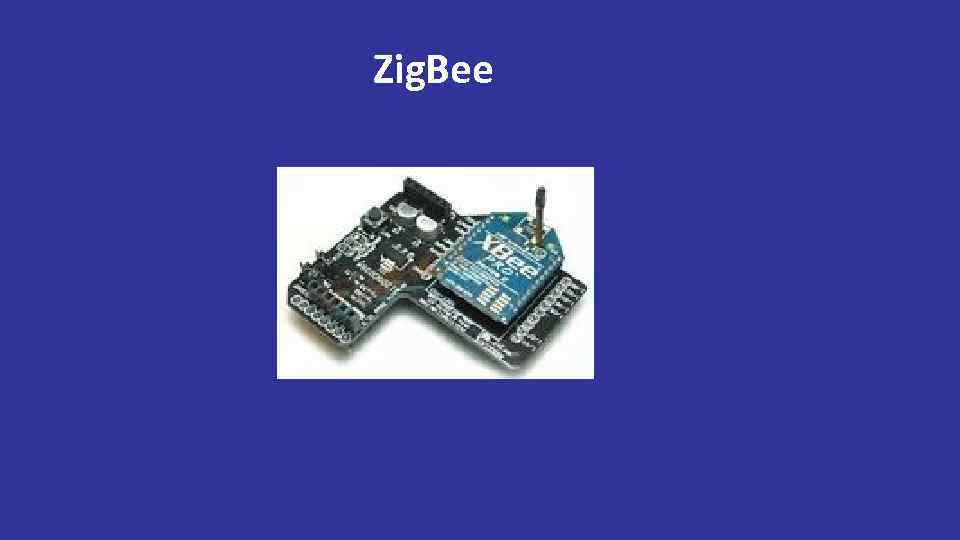 Zig. Bee 