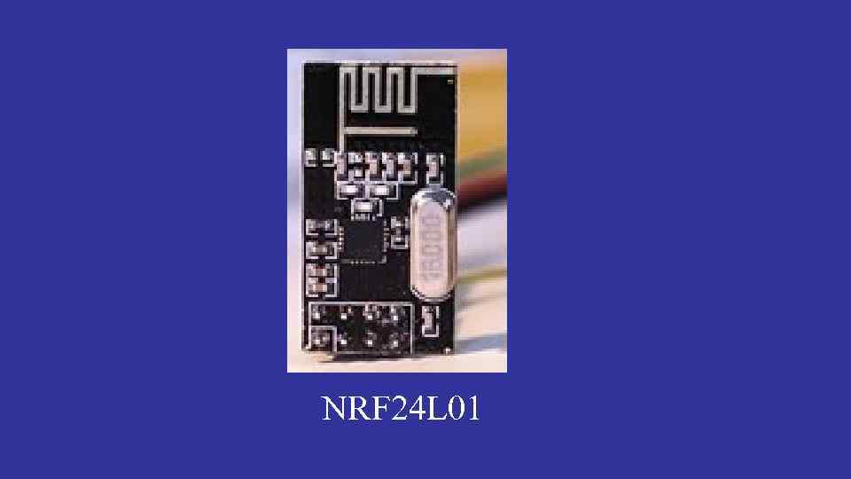 NRF 24 L 01 