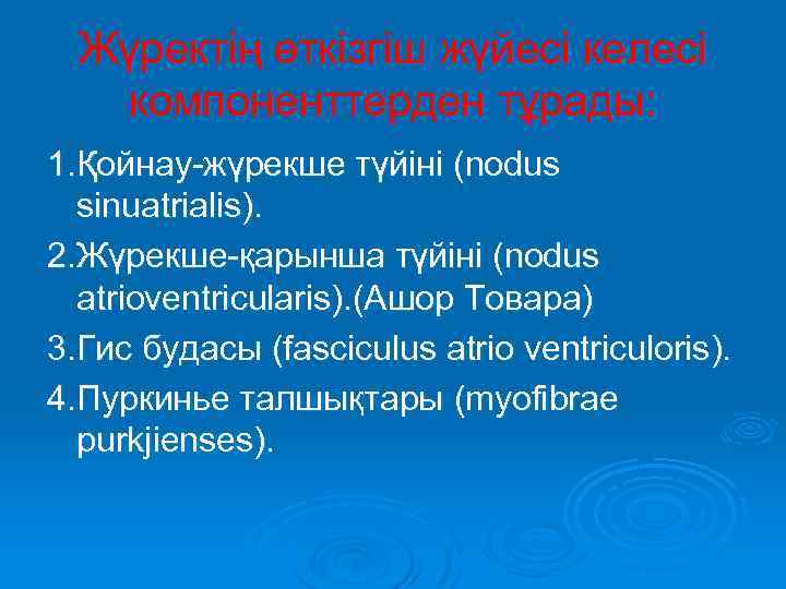 Жүректің өткізгіш жүйесі келесі компоненттерден тұрады: 1. Қойнау-жүрекше түйіні (nodus sinuatrialis). 2. Жүрекше-қарынша түйіні