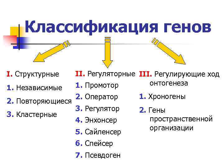 Классификация генов I. Структурные 1. Независимые 2. Повторяющиеся 3. Кластерные II. Регуляторные III. Регулирующие