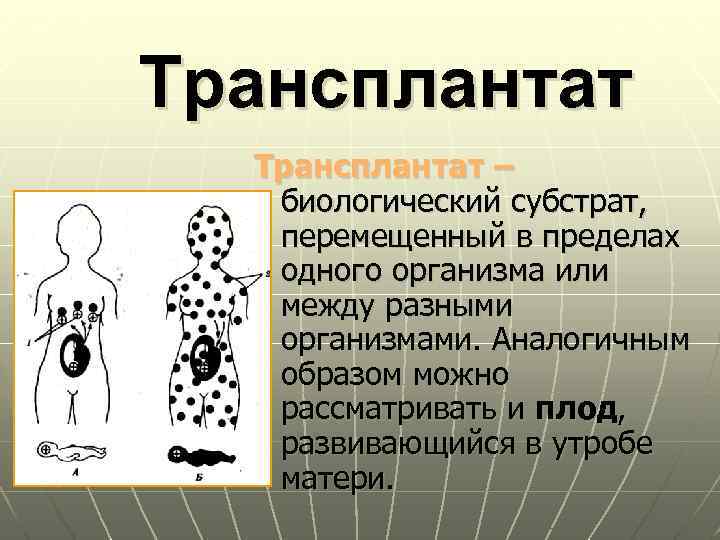 Трансплантат – биологический субстрат, перемещенный в пределах одного организма или между разными организмами. Аналогичным