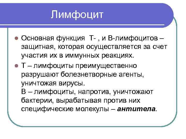  Лимфоцит Основная функция Т- , и В-лимфоцитов – защитная, которая осуществляется за счет