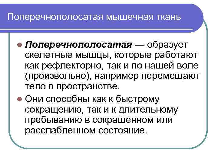 Поперечнополосатая мышечная ткань l Поперечнополосатая — образует скелетные мышцы, которые работают как рефлекторно, так