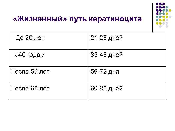  «Жизненный» путь кератиноцита До 20 лет 21 -28 дней к 40 годам 35