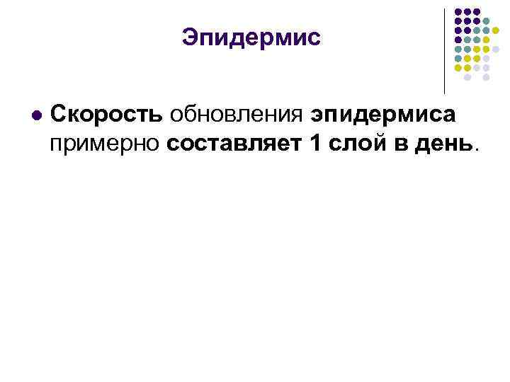 Эпидермис l Скорость обновления эпидермиса примерно составляет 1 слой в день. 