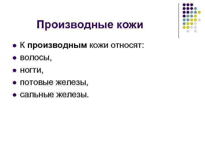 Производные кожи l l l К производным кожи относят: волосы, ногти, потовые железы, сальные