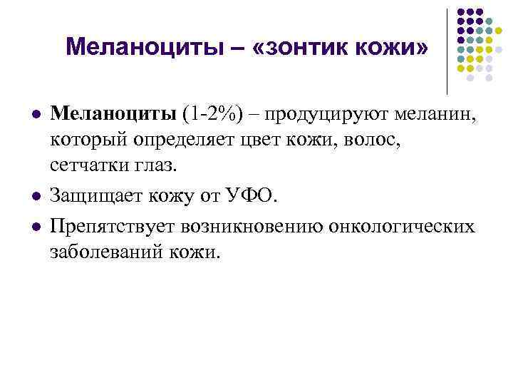 Меланоциты – «зонтик кожи» l l l Меланоциты (1 -2%) – продуцируют меланин, который