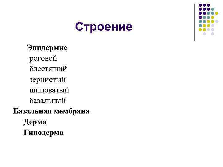 Строение Эпидермис роговой блестящий зернистый шиповатый базальный Базальная мембрана Дерма Гиподерма 