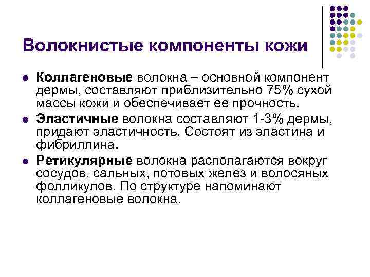 Волокнистые компоненты кожи l l l Коллагеновые волокна – основной компонент дермы, составляют приблизительно