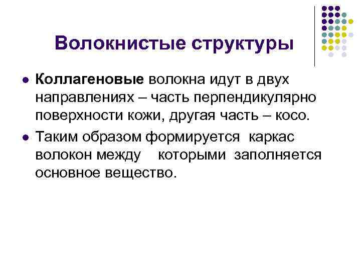 Волокнистые структуры l l Коллагеновые волокна идут в двух направлениях – часть перпендикулярно поверхности