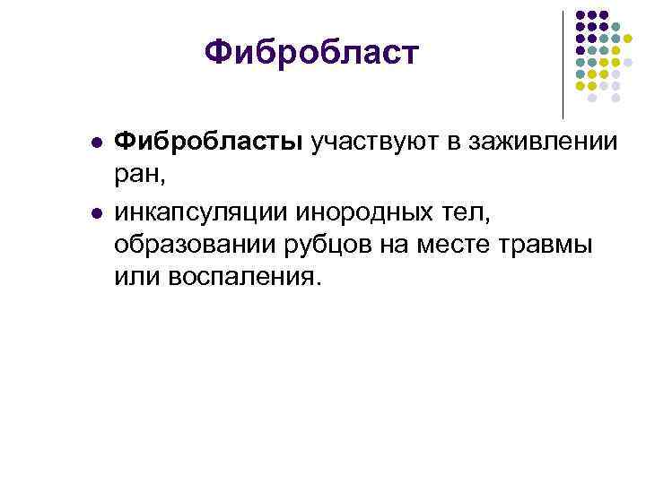 Фибробласт l l Фибробласты участвуют в заживлении ран, инкапсуляции инородных тел, образовании рубцов на