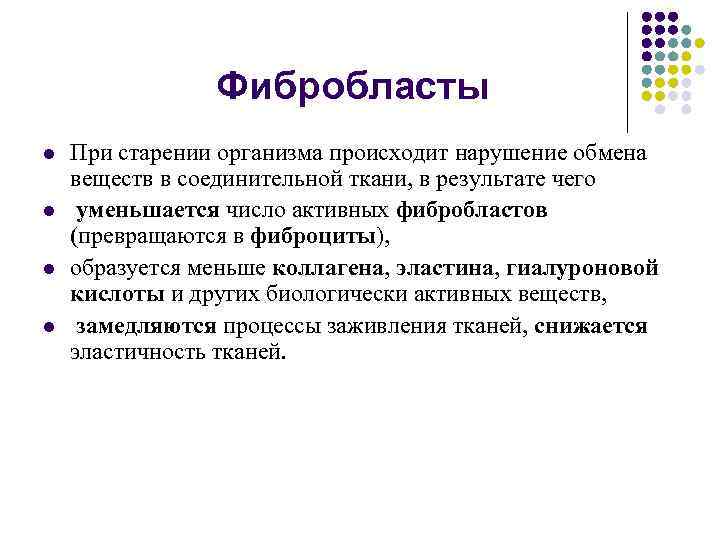 Фибробласты l l При старении организма происходит нарушение обмена веществ в соединительной ткани, в