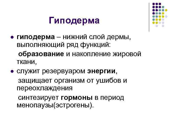 Гиподерма гиподерма – нижний слой дермы, выполняющий ряд функций: образование и накопление жировой ткани,