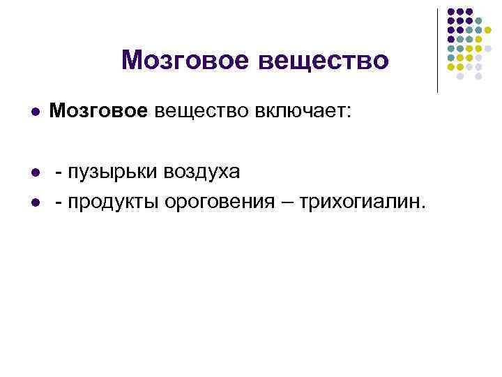 Мозговое вещество l Мозговое вещество включает: l - пузырьки воздуха - продукты ороговения –