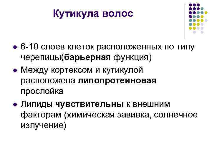 Кутикула волос l l l 6 -10 слоев клеток расположенных по типу черепицы(барьерная функция)