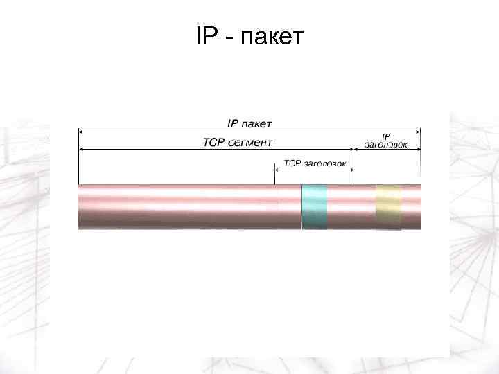 IP - пакет IP-пакет включает в себя разделы, сформированные протоколами IP и TCP: •