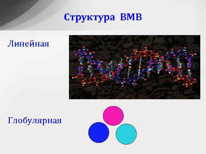 Структура ВМВ Линейная Глобулярная 