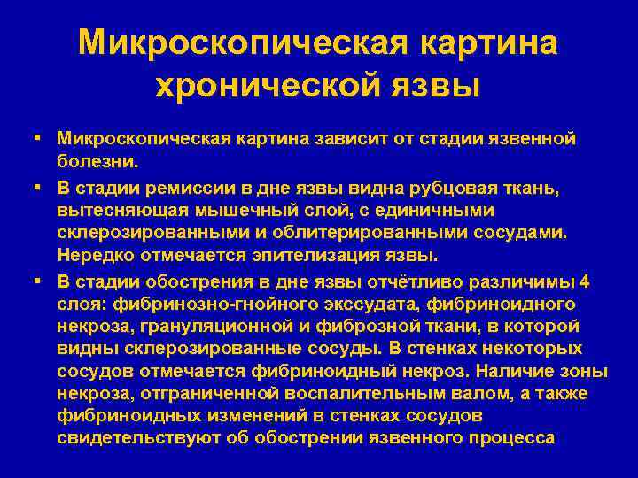 Микроскопическая картина хронической язвы § Микроскопическая картина зависит от стадии язвенной болезни. § В