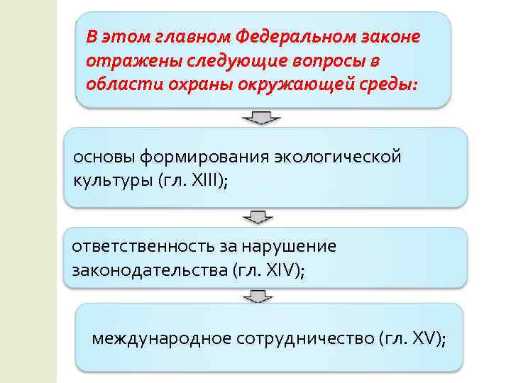 В этом главном Федеральном законе отражены следующие вопросы в области охраны окружающей среды: основы