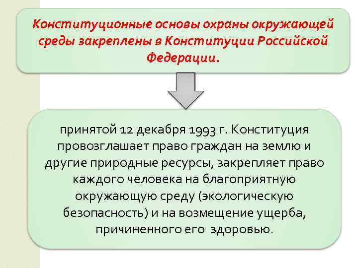 Конституционные основы охраны окружающей среды закреплены в Конституции Российской Федерации. принятой 12 декабря 1993