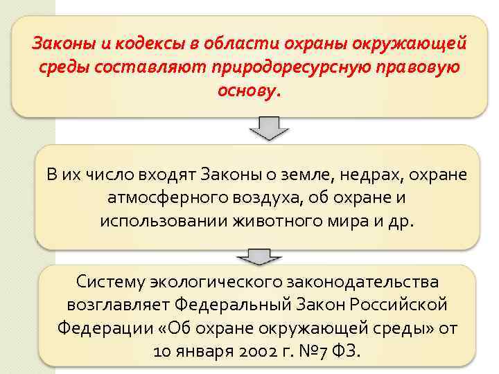 Законы и кодексы в области охраны окружающей среды составляют природоресурсную правовую основу. В их