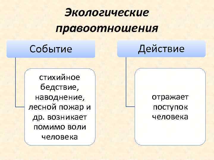 Экологические правоотношения это