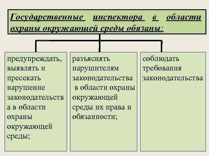 Государственные инспектора в области охраны окружающей среды обязаны: предупреждать, выявлять и пресекать нарушение законодательств