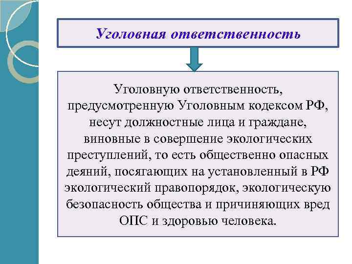 Проект ответственность