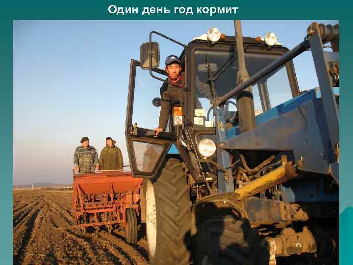 Один день год кормит 