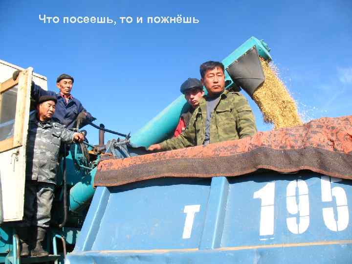 Что посеешь, то и пожнёшь 