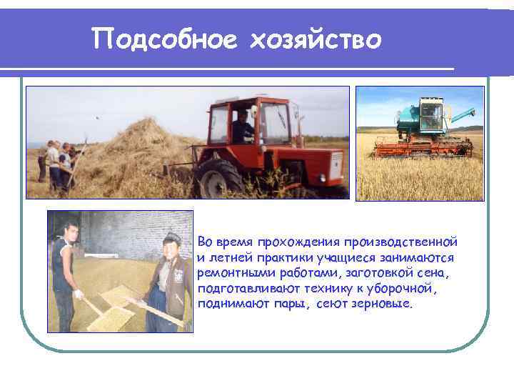 Подсобное хозяйство Во время прохождения производственной и летней практики учащиеся занимаются ремонтными работами, заготовкой
