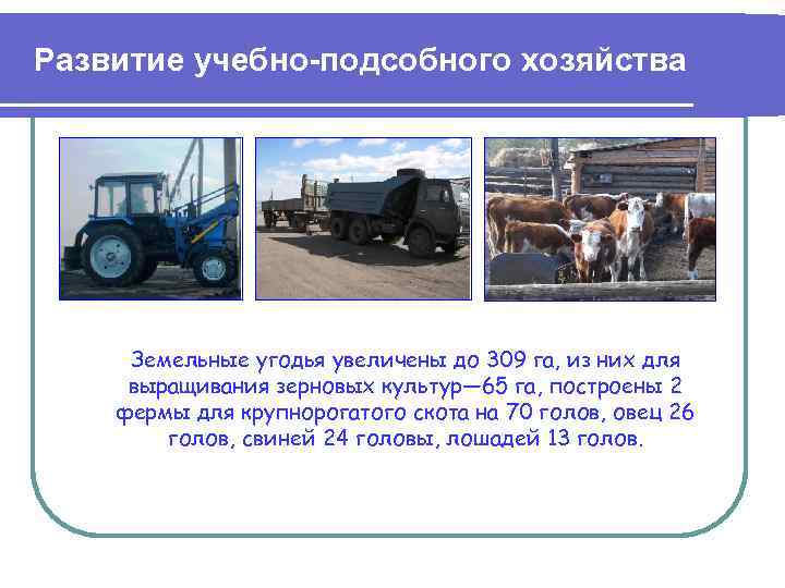 Развитие учебно-подсобного хозяйства Земельные угодья увеличены до 309 га, из них для выращивания зерновых