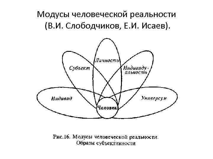 Модусы человеческой реальности (В. И. Слободчиков, Е. И. Исаев). 