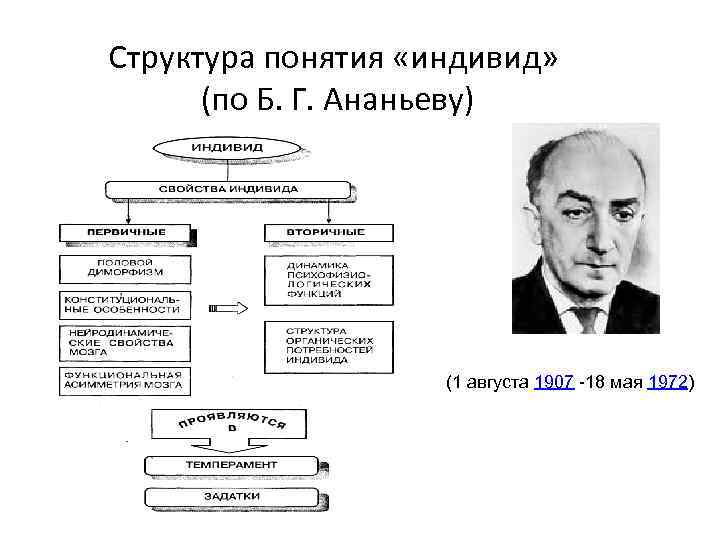 Структура понятия «индивид» (по Б. Г. Ананьеву) (1 августа 1907 -18 мая 1972) 