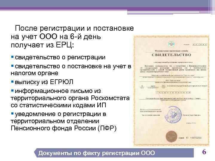 После регистрации и постановке на учет ООО на 6 -й день получает из ЕРЦ:
