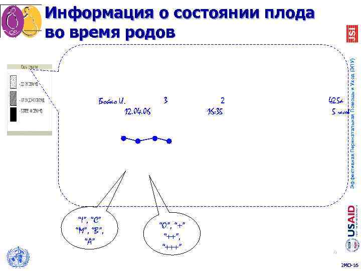 Информация о состоянии плода во время родов      Эффективная Перинатальная