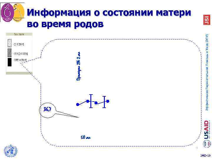 Информация о состоянии матери во время родов     Эффективная Перинатальная Помощь