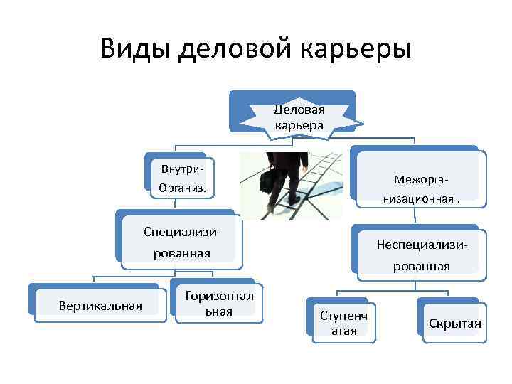  Виды деловой карьеры      Деловая    