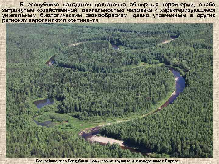 В республике находятся достаточно обширные территории, слабо затронутые хозяйственной деятельностью человека и характеризующиеся уникальным