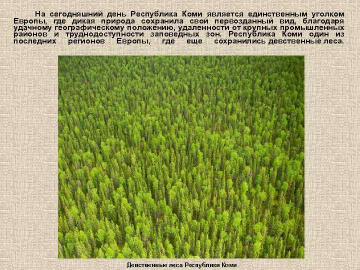 На сегодняшний день Республика Коми является единственным уголком Европы, где дикая природа сохранила свой