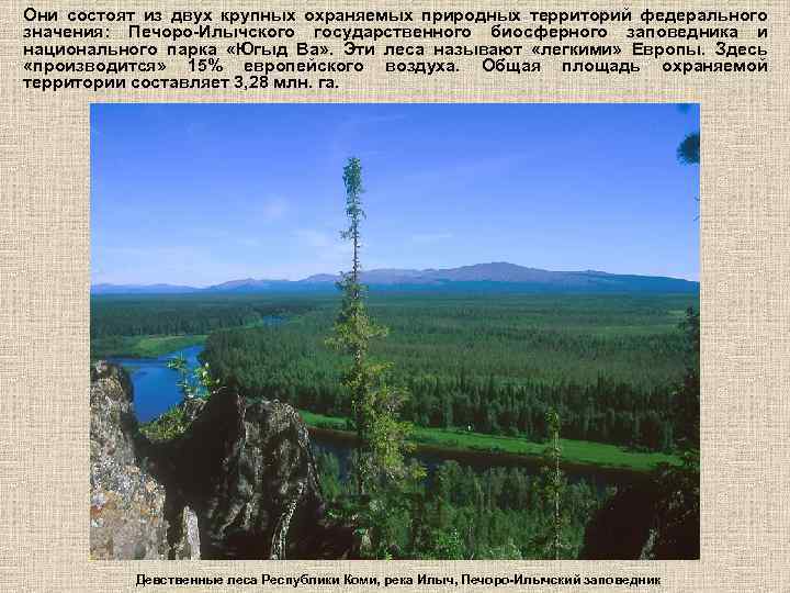 Они состоят из двух крупных охраняемых природных территорий федерального значения: Печоро-Илычского государственного биосферного заповедника