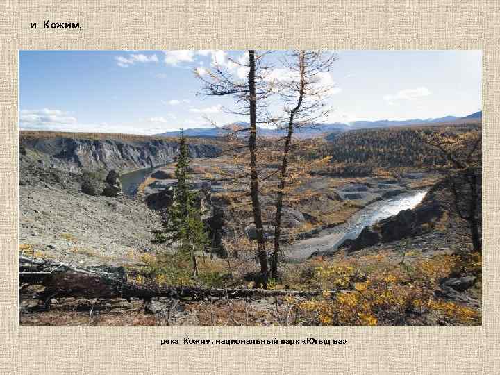 и Кожим, река Кожим, национальный парк «Югыд ва» 