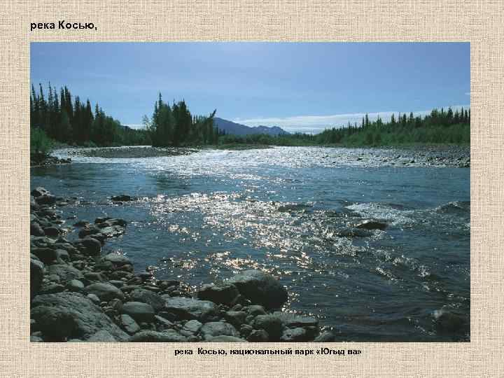 река Косью, национальный парк «Югыд ва» 