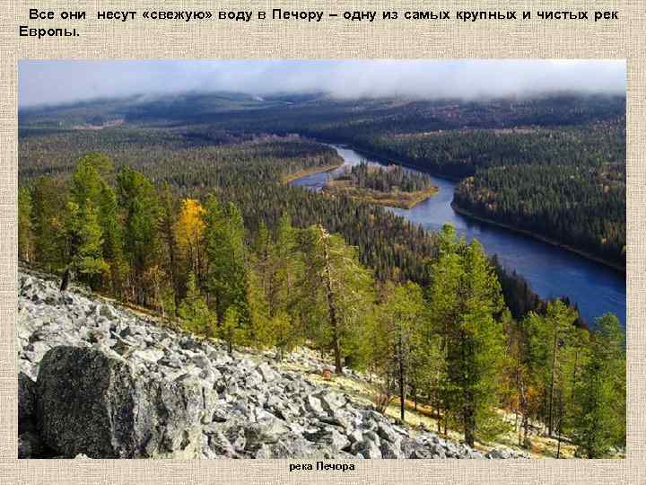 Все они несут «свежую» воду в Печору – одну из самых крупных и чистых
