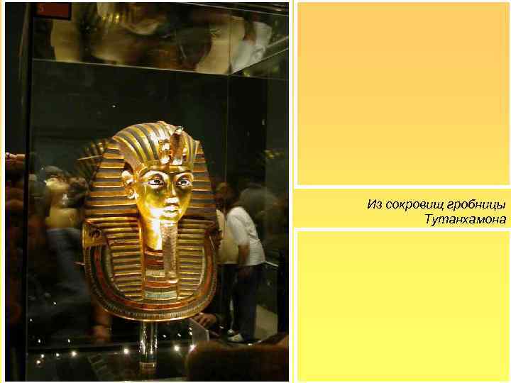 Из сокровищ гробницы   Тутанхамона 