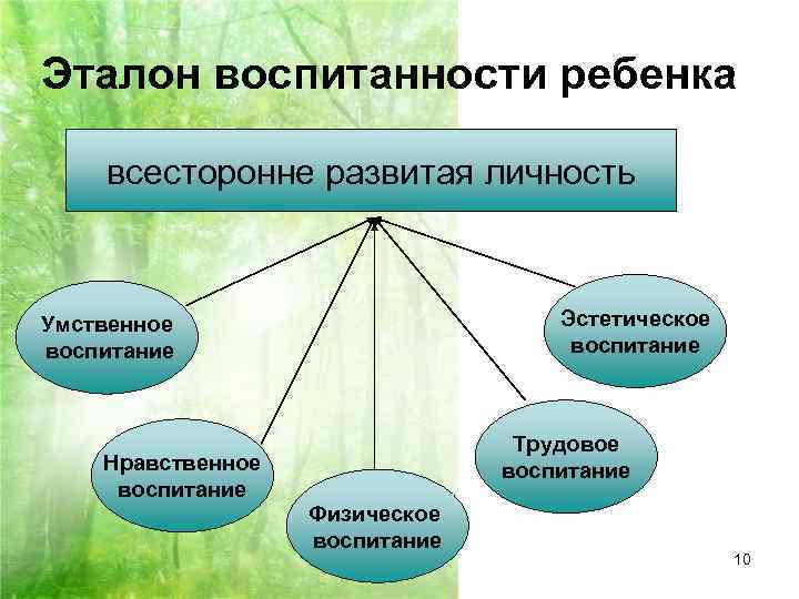 Всестороннее развитие личности. Всесторонне развитая личность. Всестороннее развитие личности ребенка. Формирование всесторонне развитой личности.