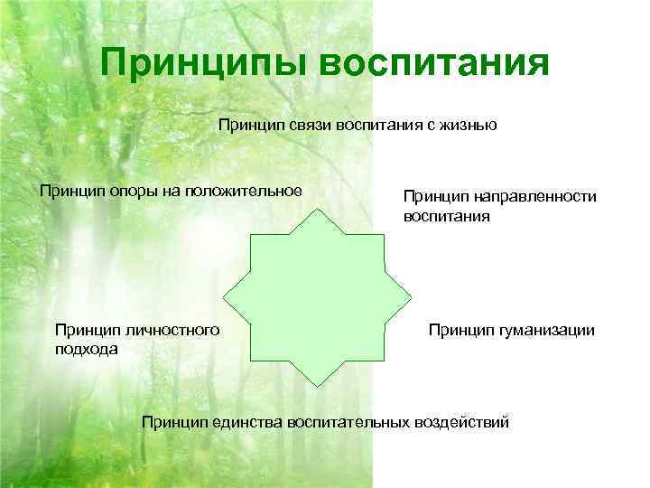  Принципы воспитания     Принцип связи воспитания с жизнью  Принцип