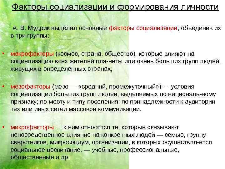  Факторы социализации и формирования личности А. В. Мудрик выделил основные факторы социализации,