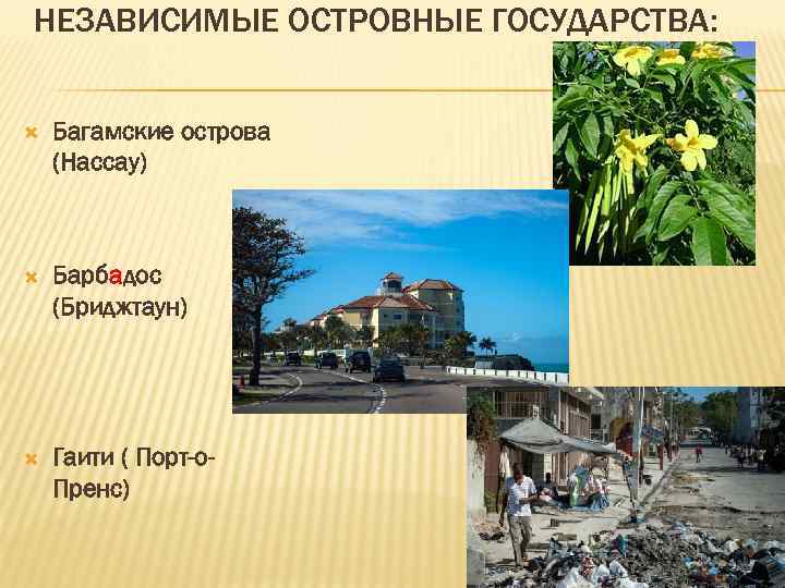НЕЗАВИСИМЫЕ ОСТРОВНЫЕ ГОСУДАРСТВА: Багамские острова (Нассау) Барбадос (Бриджтаун) Гаити ( Порт-о. Пренс) 