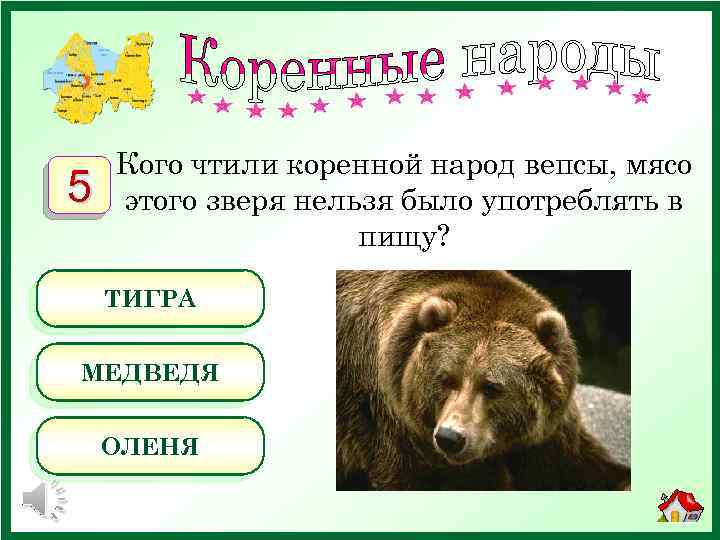 5 Кого чтили коренной народ вепсы, мясо этого зверя нельзя было употреблять в пищу?